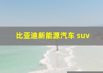 比亚迪新能源汽车 suv